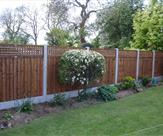 Small square trellis, 6' x 4' Feather Edge Fence Panel and Smooth Gravel Board.